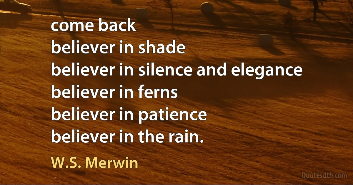 come back
believer in shade
believer in silence and elegance
believer in ferns
believer in patience
believer in the rain. (W.S. Merwin)