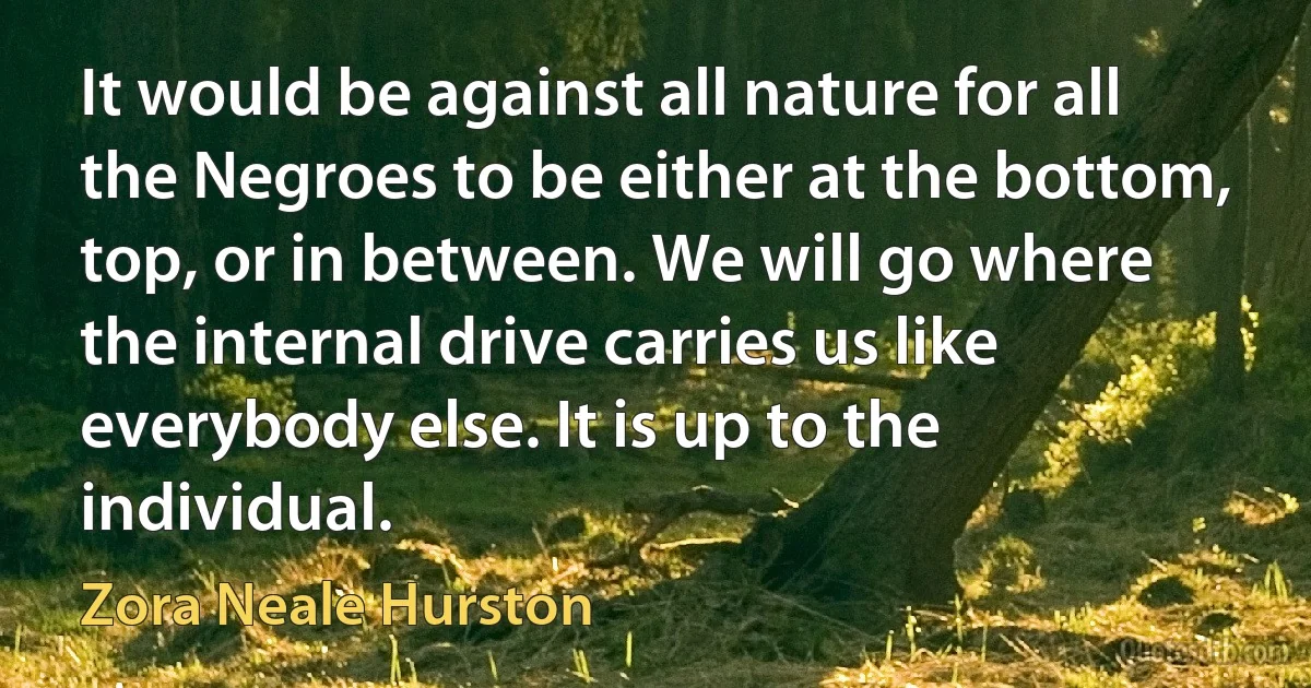 It would be against all nature for all the Negroes to be either at the bottom, top, or in between. We will go where the internal drive carries us like everybody else. It is up to the individual. (Zora Neale Hurston)