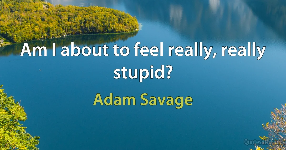 Am I about to feel really, really stupid? (Adam Savage)