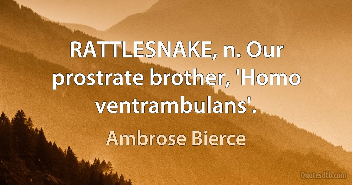 RATTLESNAKE, n. Our prostrate brother, 'Homo ventrambulans'. (Ambrose Bierce)