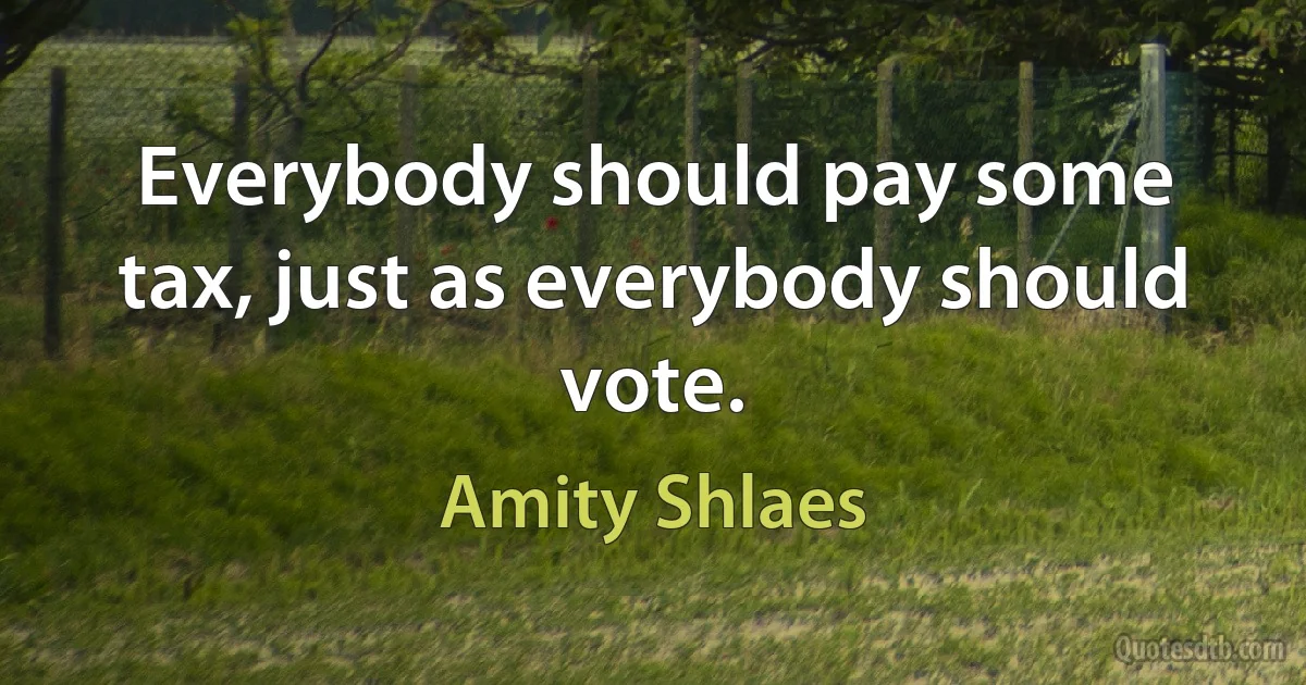 Everybody should pay some tax, just as everybody should vote. (Amity Shlaes)