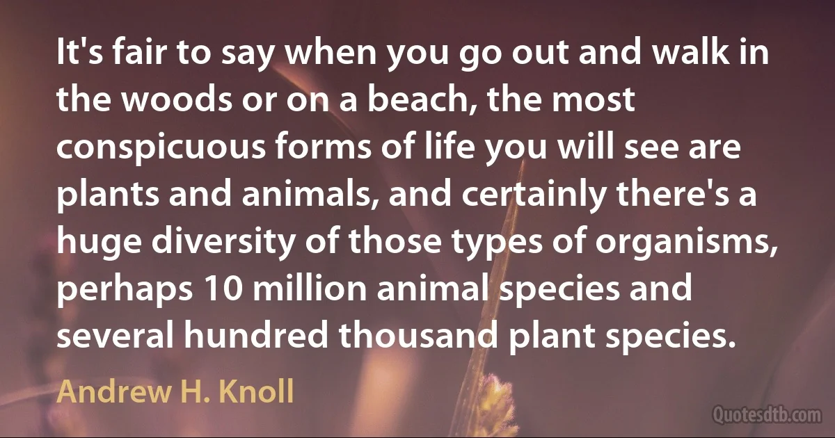 It's fair to say when you go out and walk in the woods or on a beach, the most conspicuous forms of life you will see are plants and animals, and certainly there's a huge diversity of those types of organisms, perhaps 10 million animal species and several hundred thousand plant species. (Andrew H. Knoll)