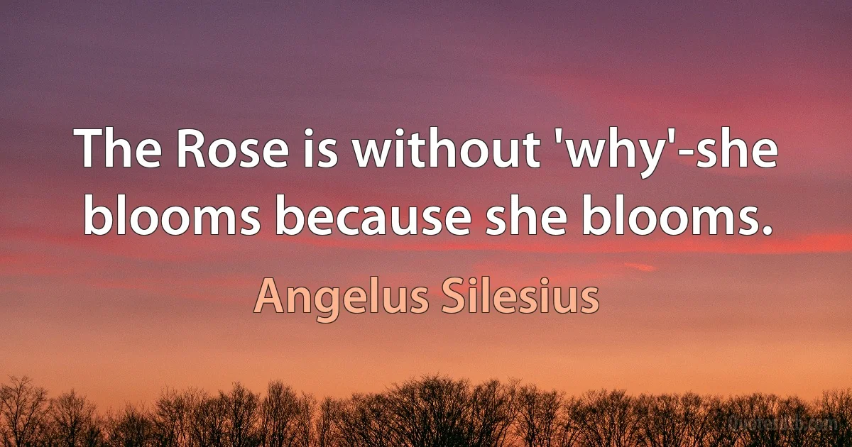 The Rose is without 'why'-she blooms because she blooms. (Angelus Silesius)