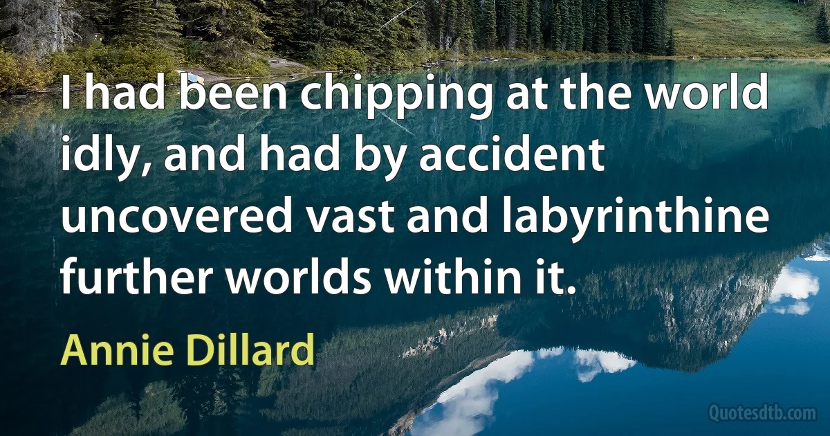 I had been chipping at the world idly, and had by accident uncovered vast and labyrinthine further worlds within it. (Annie Dillard)