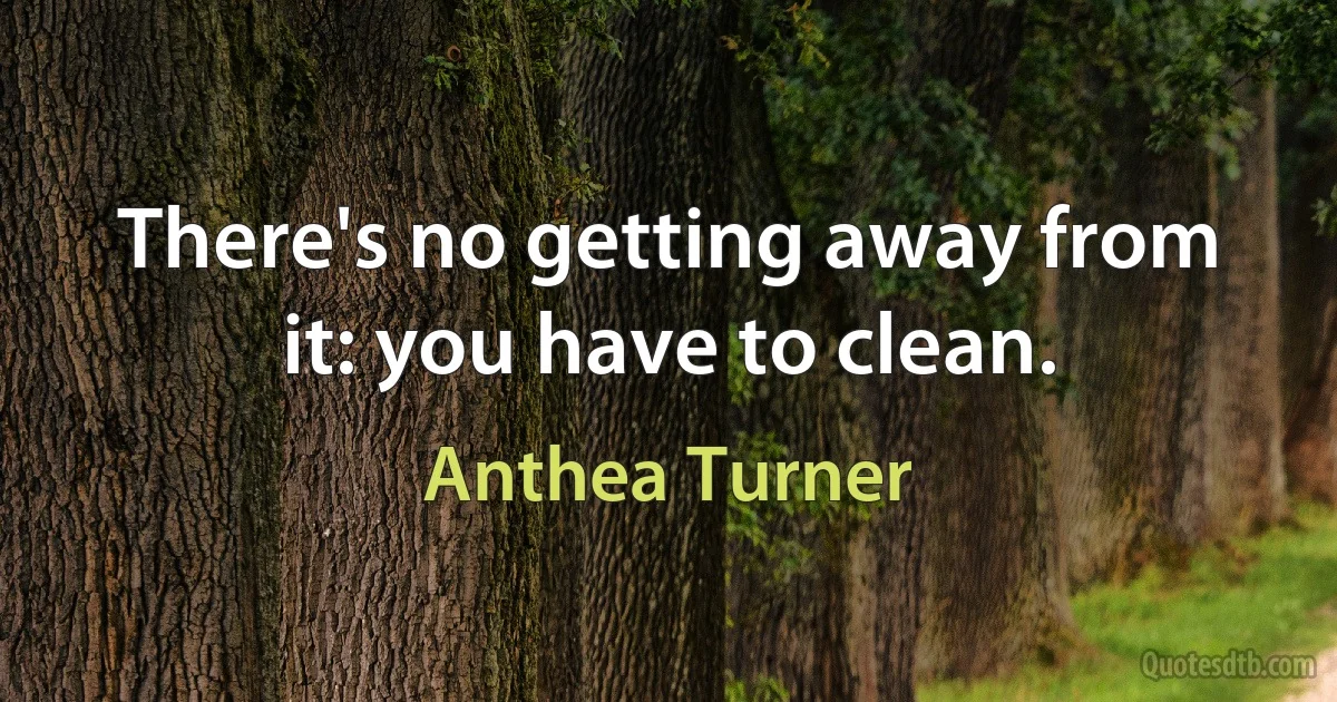 There's no getting away from it: you have to clean. (Anthea Turner)