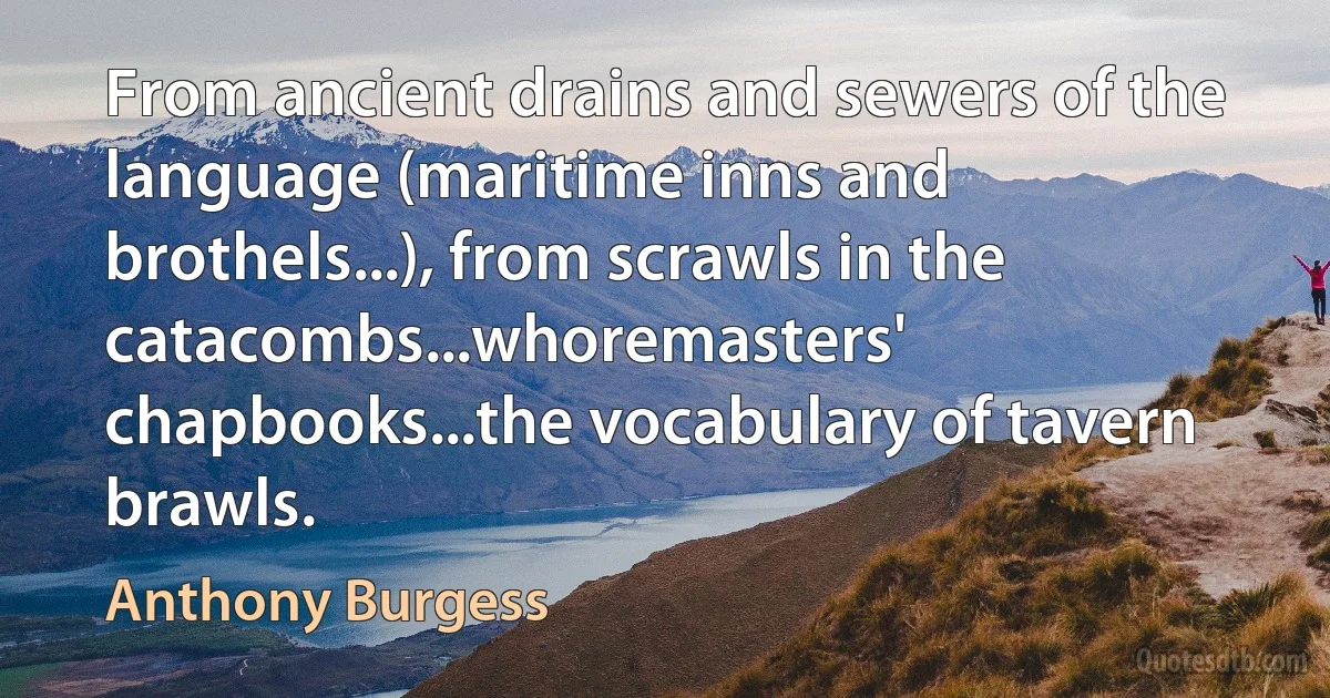 From ancient drains and sewers of the language (maritime inns and brothels...), from scrawls in the catacombs...whoremasters' chapbooks...the vocabulary of tavern brawls. (Anthony Burgess)