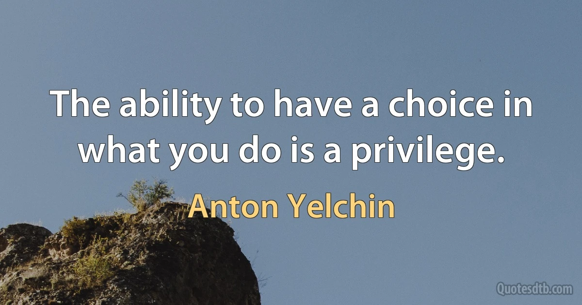 The ability to have a choice in what you do is a privilege. (Anton Yelchin)