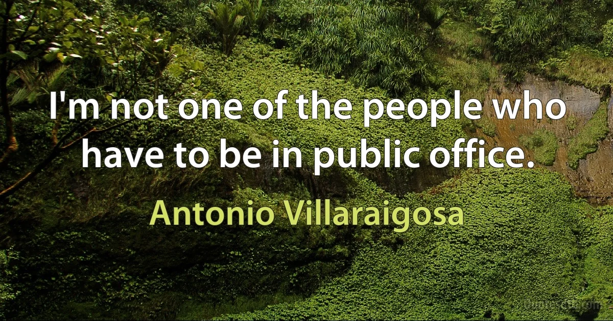 I'm not one of the people who have to be in public office. (Antonio Villaraigosa)