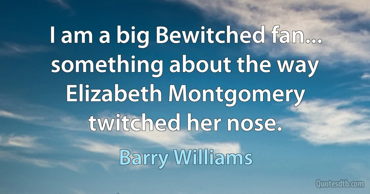 I am a big Bewitched fan... something about the way Elizabeth Montgomery twitched her nose. (Barry Williams)