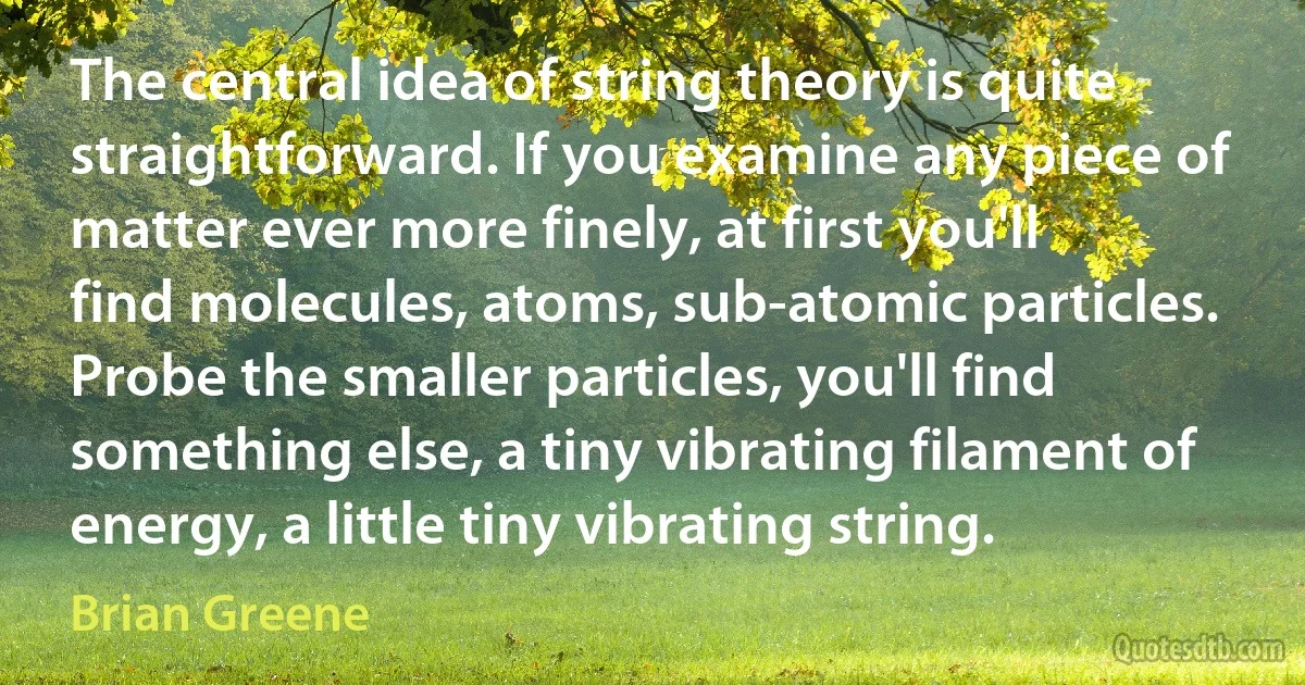 The central idea of string theory is quite straightforward. If you examine any piece of matter ever more finely, at first you'll find molecules, atoms, sub-atomic particles. Probe the smaller particles, you'll find something else, a tiny vibrating filament of energy, a little tiny vibrating string. (Brian Greene)