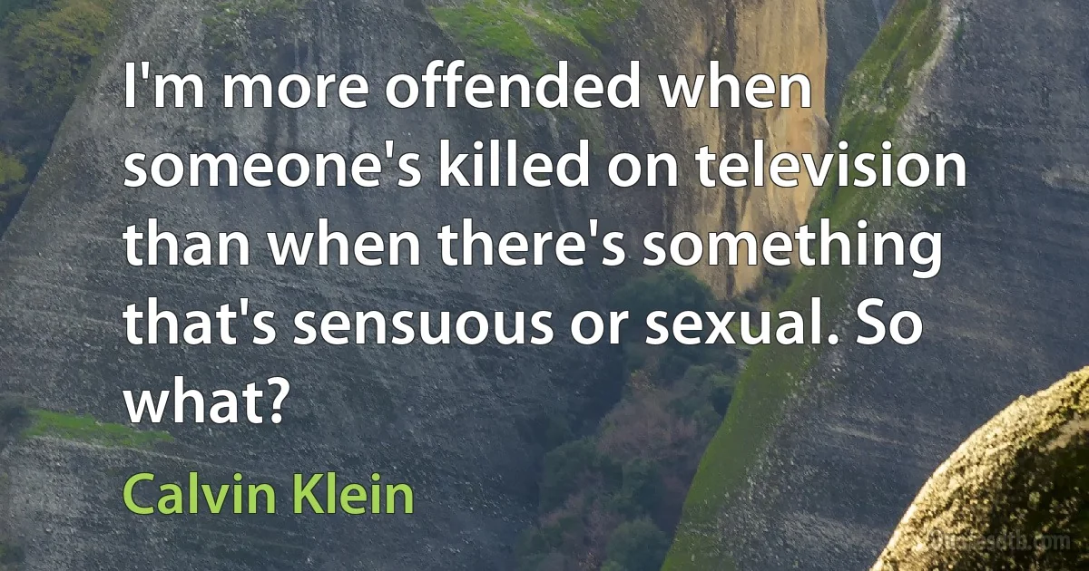 I'm more offended when someone's killed on television than when there's something that's sensuous or sexual. So what? (Calvin Klein)