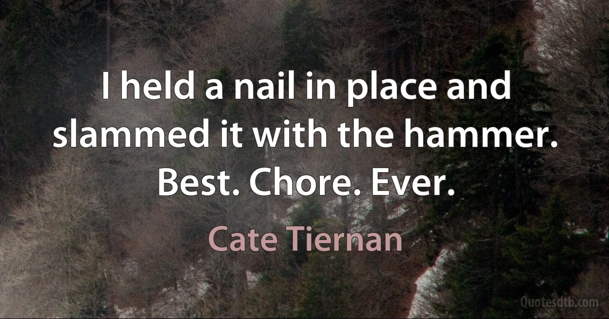 I held a nail in place and slammed it with the hammer. Best. Chore. Ever. (Cate Tiernan)