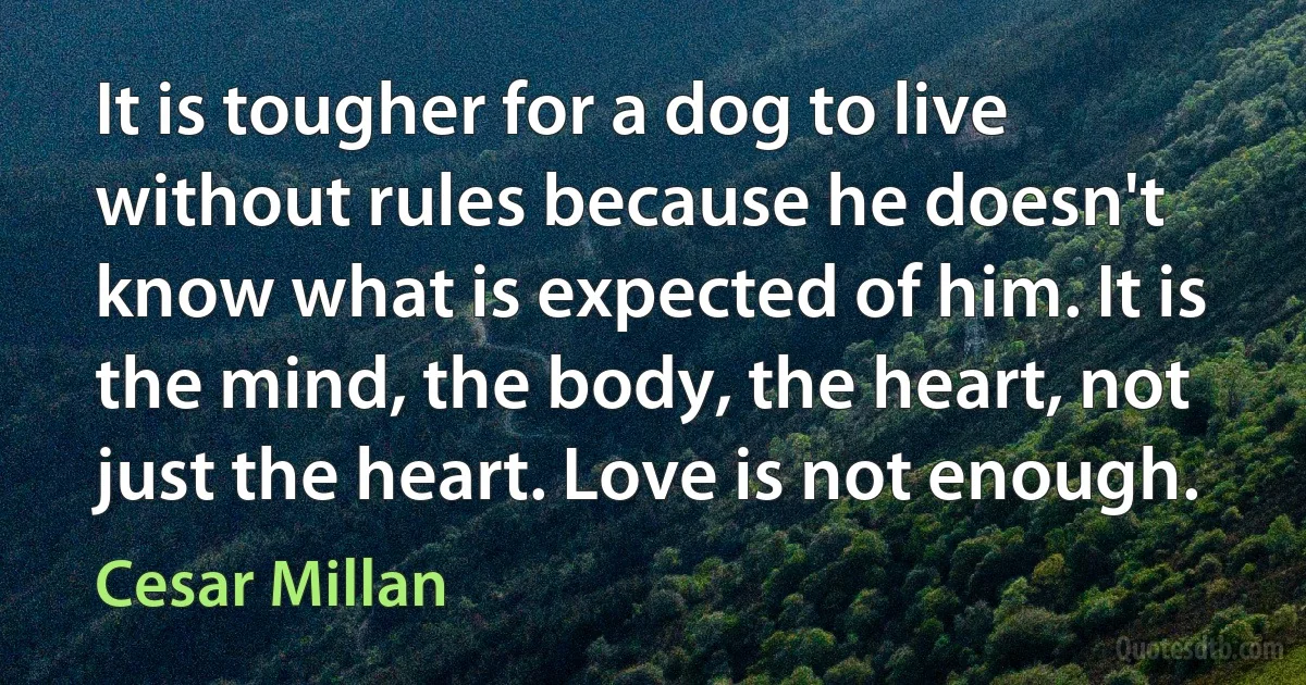 It is tougher for a dog to live without rules because he doesn't know what is expected of him. It is the mind, the body, the heart, not just the heart. Love is not enough. (Cesar Millan)