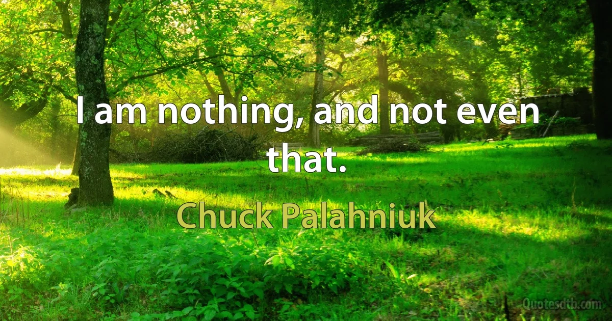 I am nothing, and not even that. (Chuck Palahniuk)