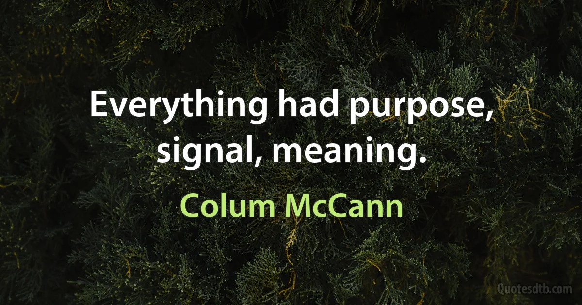 Everything had purpose, signal, meaning. (Colum McCann)