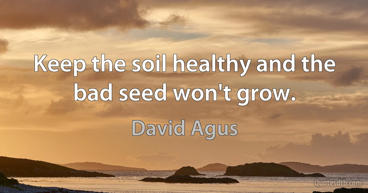 Keep the soil healthy and the bad seed won't grow. (David Agus)