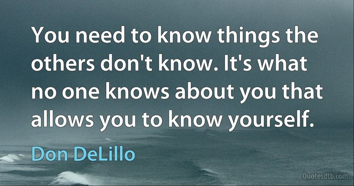 You need to know things the others don't know. It's what no one knows about you that allows you to know yourself. (Don DeLillo)