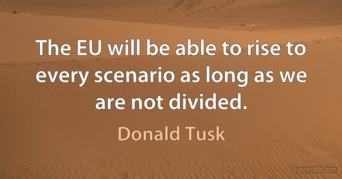 The EU will be able to rise to every scenario as long as we are not divided. (Donald Tusk)