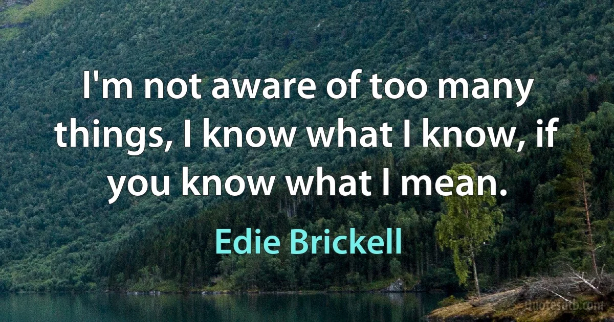 I'm not aware of too many things, I know what I know, if you know what I mean. (Edie Brickell)