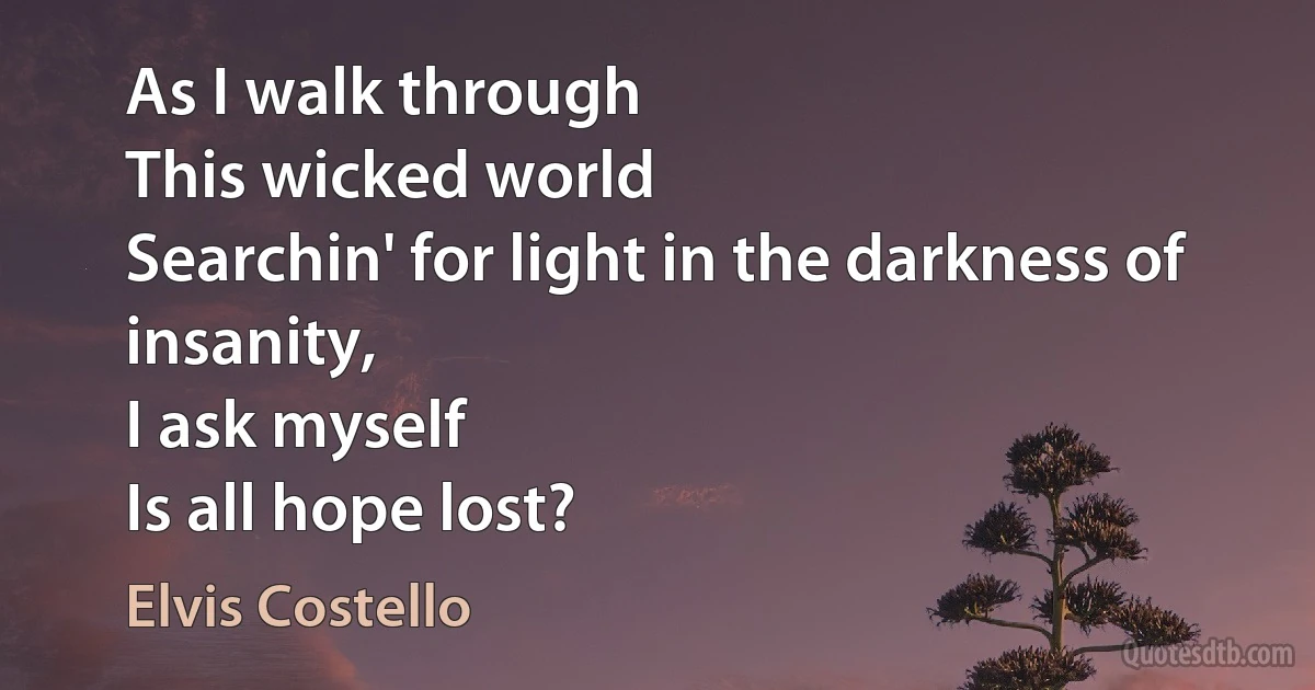 As I walk through
This wicked world
Searchin' for light in the darkness of insanity,
I ask myself
Is all hope lost? (Elvis Costello)