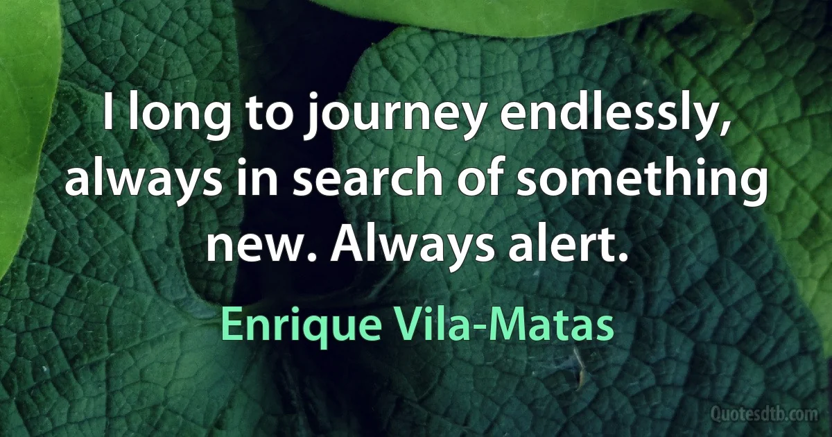 I long to journey endlessly, always in search of something new. Always alert. (Enrique Vila-Matas)