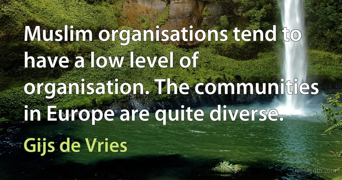 Muslim organisations tend to have a low level of organisation. The communities in Europe are quite diverse. (Gijs de Vries)