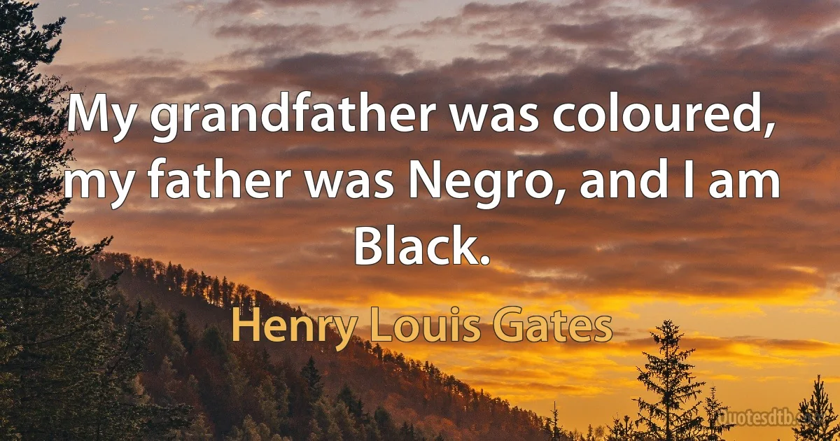 My grandfather was coloured, my father was Negro, and I am Black. (Henry Louis Gates)