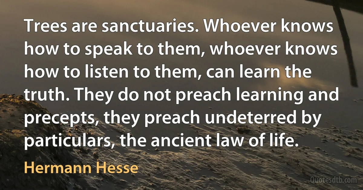 Trees are sanctuaries. Whoever knows how to speak to them, whoever knows how to listen to them, can learn the truth. They do not preach learning and precepts, they preach undeterred by particulars, the ancient law of life. (Hermann Hesse)