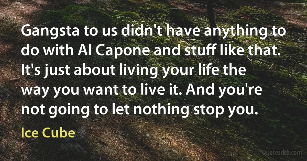 Gangsta to us didn't have anything to do with Al Capone and stuff like that. It's just about living your life the way you want to live it. And you're not going to let nothing stop you. (Ice Cube)