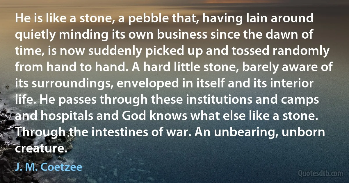 He is like a stone, a pebble that, having lain around quietly minding its own business since the dawn of time, is now suddenly picked up and tossed randomly from hand to hand. A hard little stone, barely aware of its surroundings, enveloped in itself and its interior life. He passes through these institutions and camps and hospitals and God knows what else like a stone. Through the intestines of war. An unbearing, unborn creature. (J. M. Coetzee)