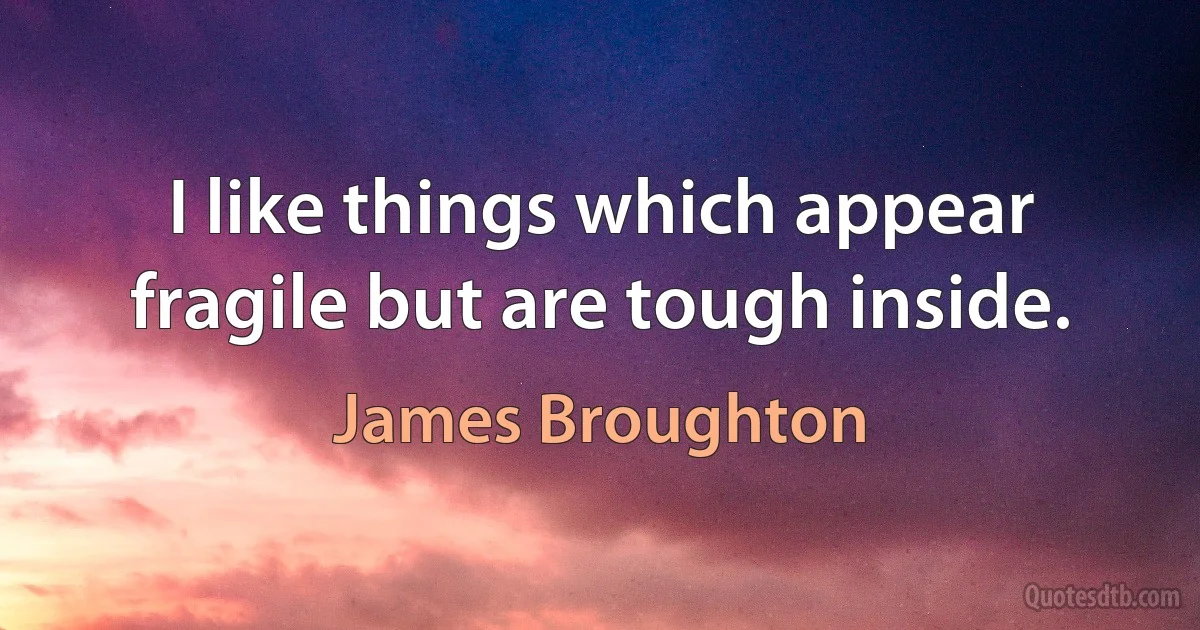 I like things which appear fragile but are tough inside. (James Broughton)