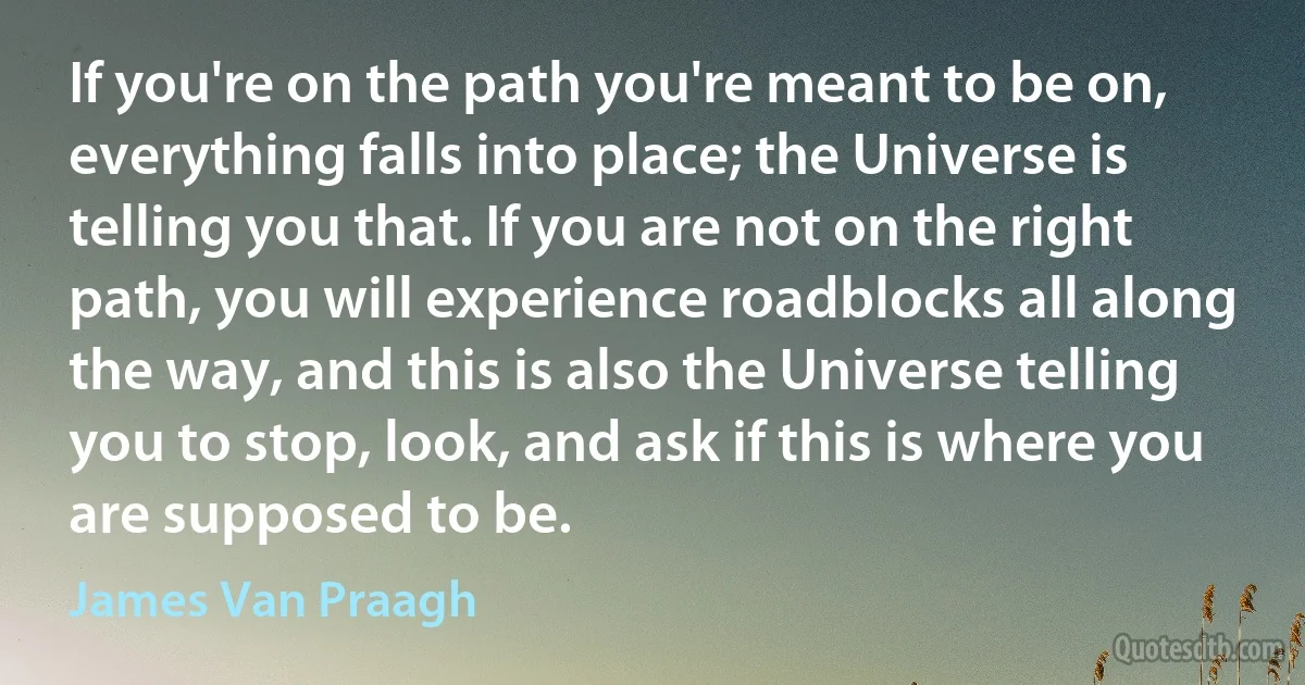 If you're on the path you're meant to be on, everything falls into place; the Universe is telling you that. If you are not on the right path, you will experience roadblocks all along the way, and this is also the Universe telling you to stop, look, and ask if this is where you are supposed to be. (James Van Praagh)