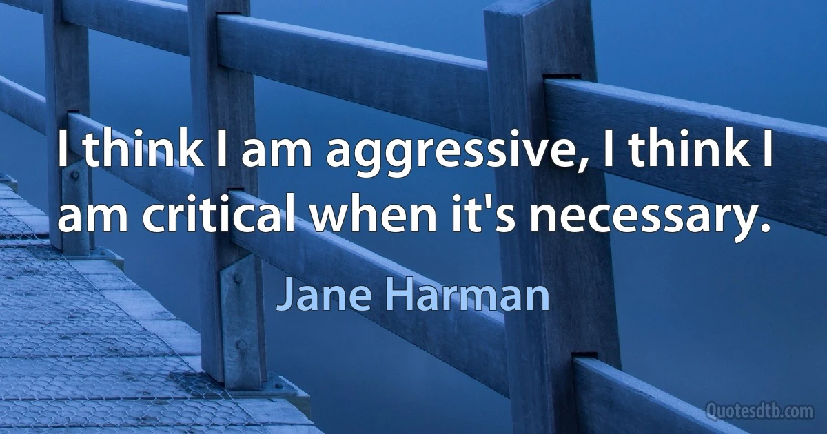 I think I am aggressive, I think I am critical when it's necessary. (Jane Harman)