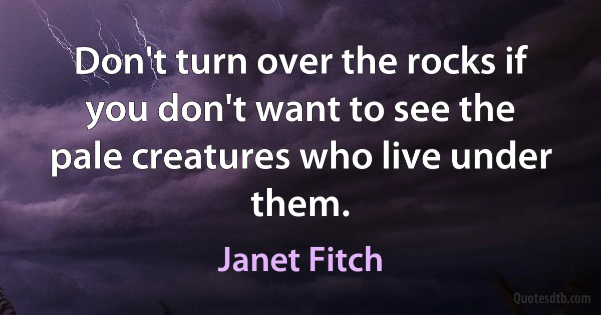 Don't turn over the rocks if you don't want to see the pale creatures who live under them. (Janet Fitch)