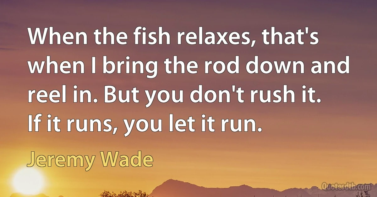 When the fish relaxes, that's when I bring the rod down and reel in. But you don't rush it. If it runs, you let it run. (Jeremy Wade)