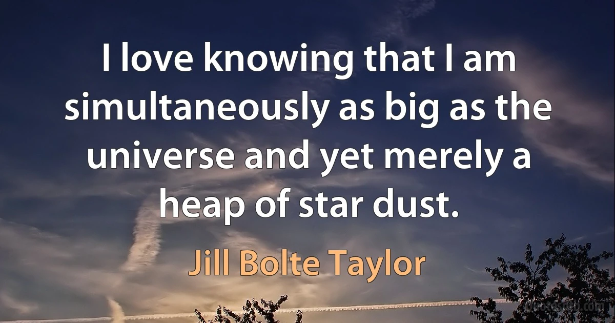 I love knowing that I am simultaneously as big as the universe and yet merely a heap of star dust. (Jill Bolte Taylor)