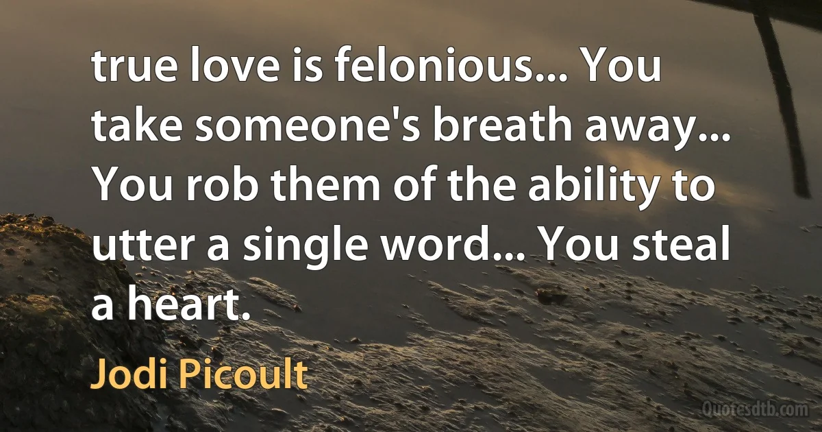 true love is felonious... You take someone's breath away... You rob them of the ability to utter a single word... You steal a heart. (Jodi Picoult)