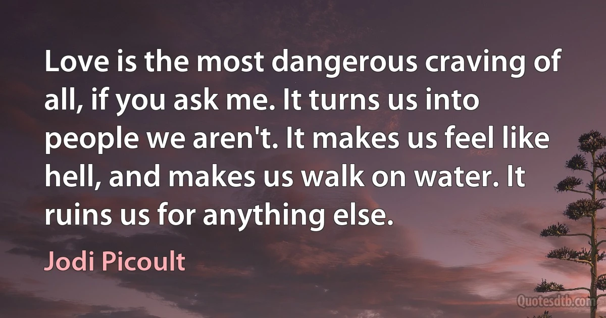 Love is the most dangerous craving of all, if you ask me. It turns us into people we aren't. It makes us feel like hell, and makes us walk on water. It ruins us for anything else. (Jodi Picoult)