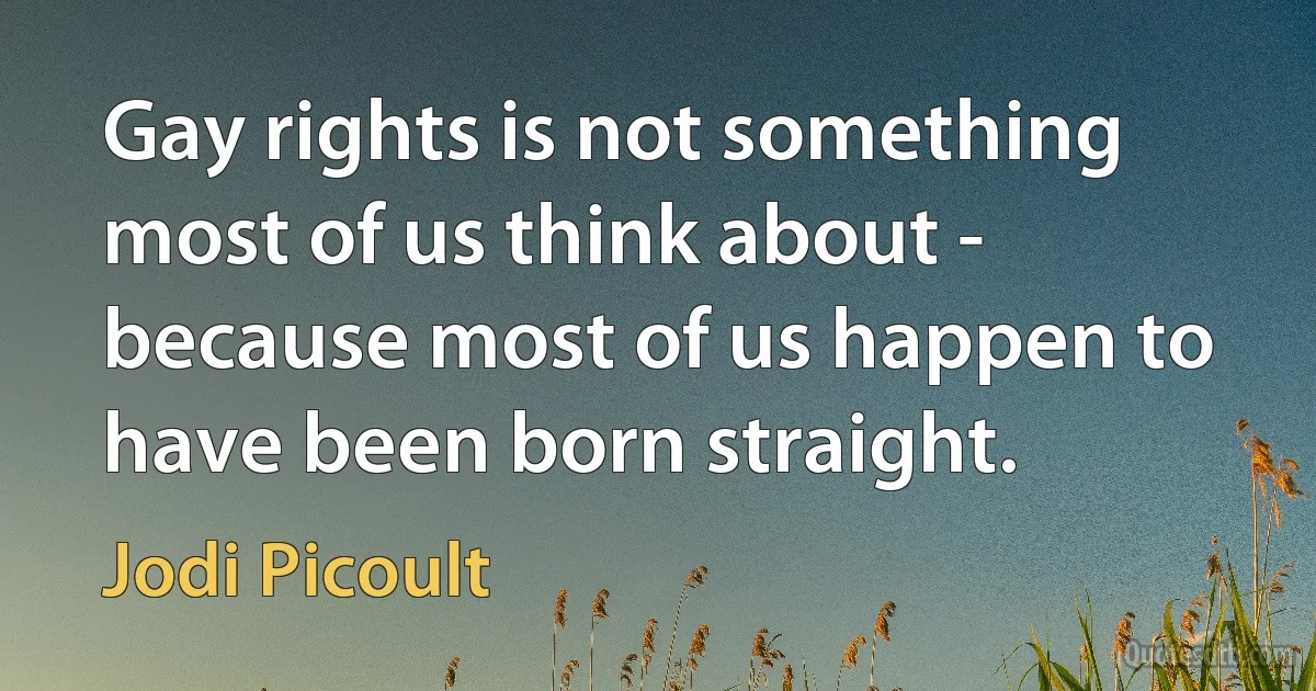 Gay rights is not something most of us think about - because most of us happen to have been born straight. (Jodi Picoult)