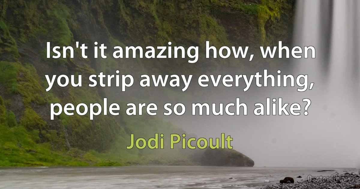 Isn't it amazing how, when you strip away everything, people are so much alike? (Jodi Picoult)