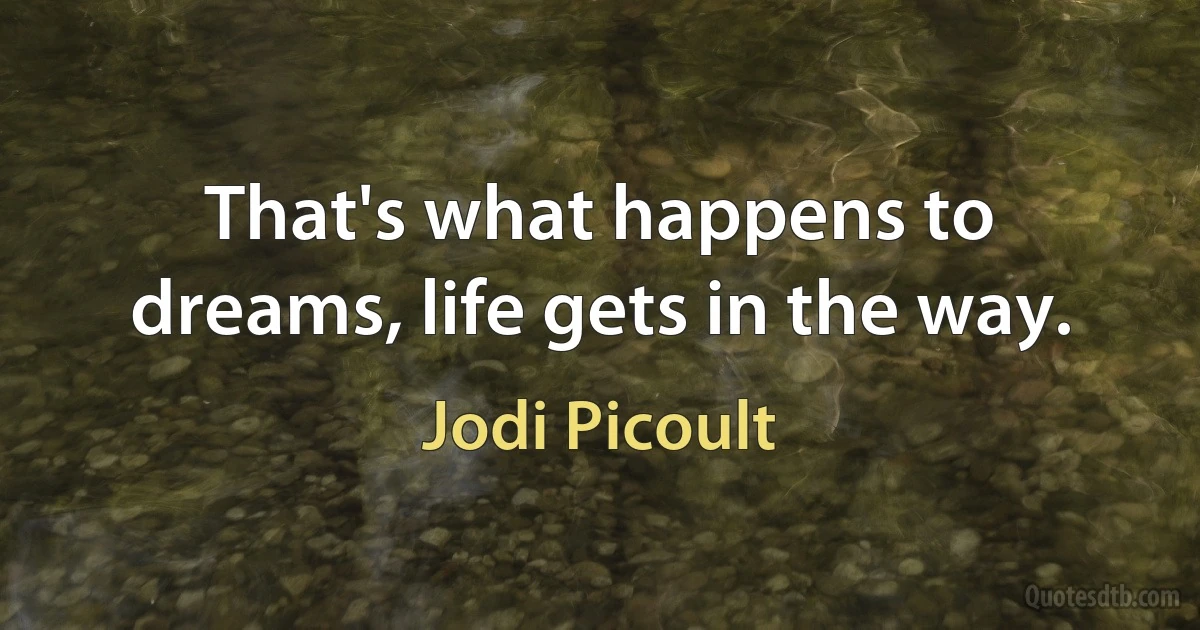 That's what happens to dreams, life gets in the way. (Jodi Picoult)