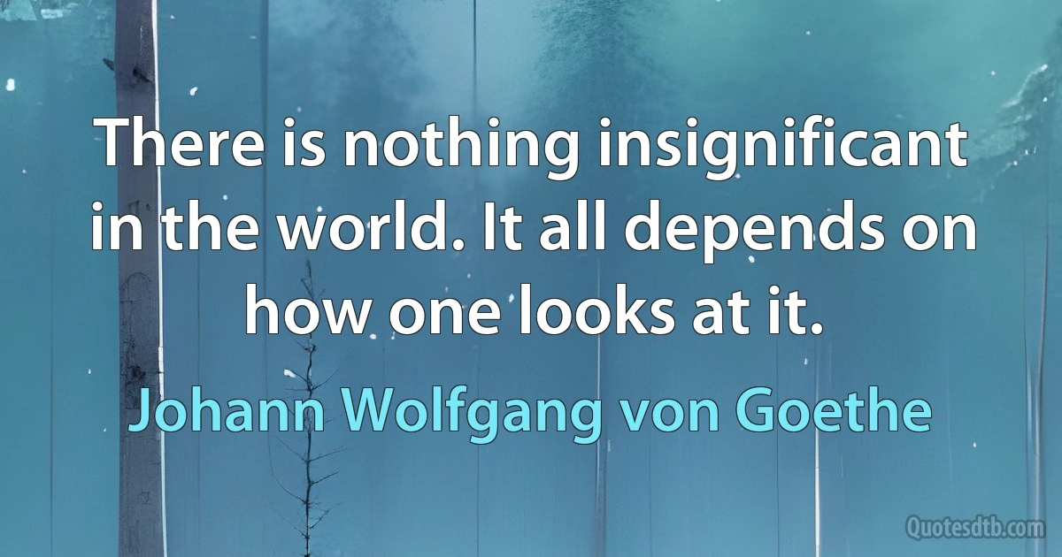 There is nothing insignificant in the world. It all depends on how one looks at it. (Johann Wolfgang von Goethe)