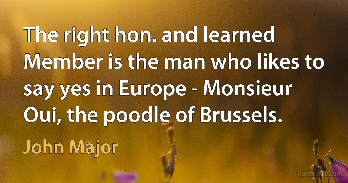 The right hon. and learned Member is the man who likes to say yes in Europe - Monsieur Oui, the poodle of Brussels. (John Major)