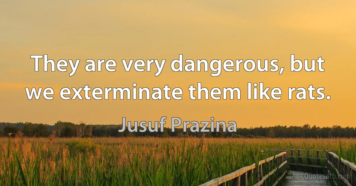 They are very dangerous, but we exterminate them like rats. (Jusuf Prazina)