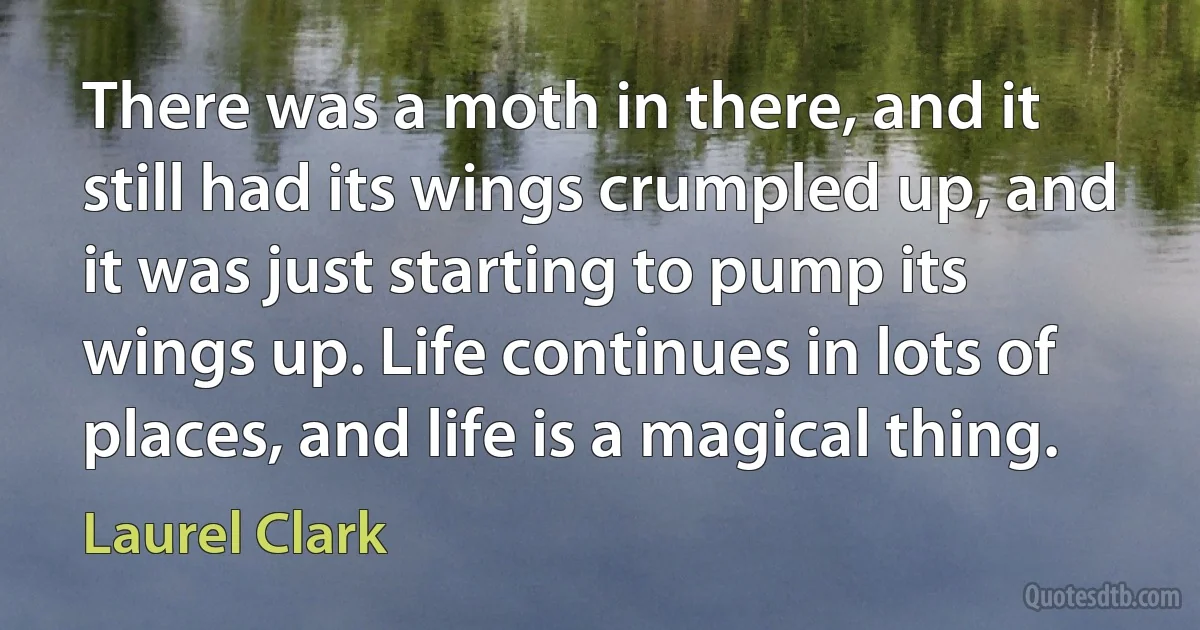 There was a moth in there, and it still had its wings crumpled up, and it was just starting to pump its wings up. Life continues in lots of places, and life is a magical thing. (Laurel Clark)