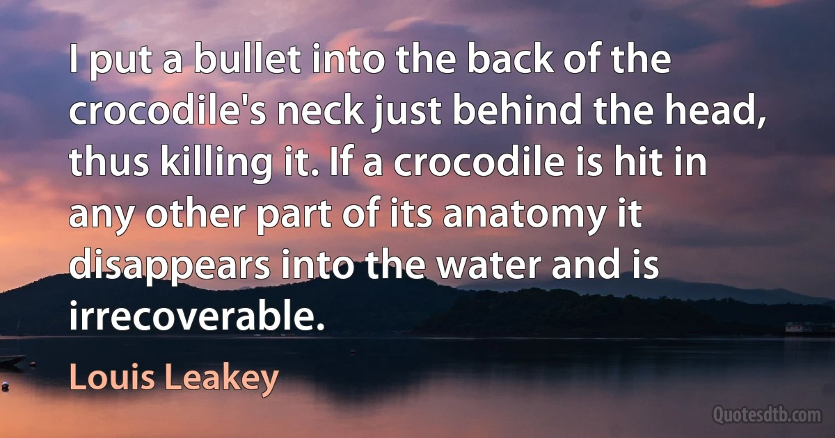 I put a bullet into the back of the crocodile's neck just behind the head, thus killing it. If a crocodile is hit in any other part of its anatomy it disappears into the water and is irrecoverable. (Louis Leakey)