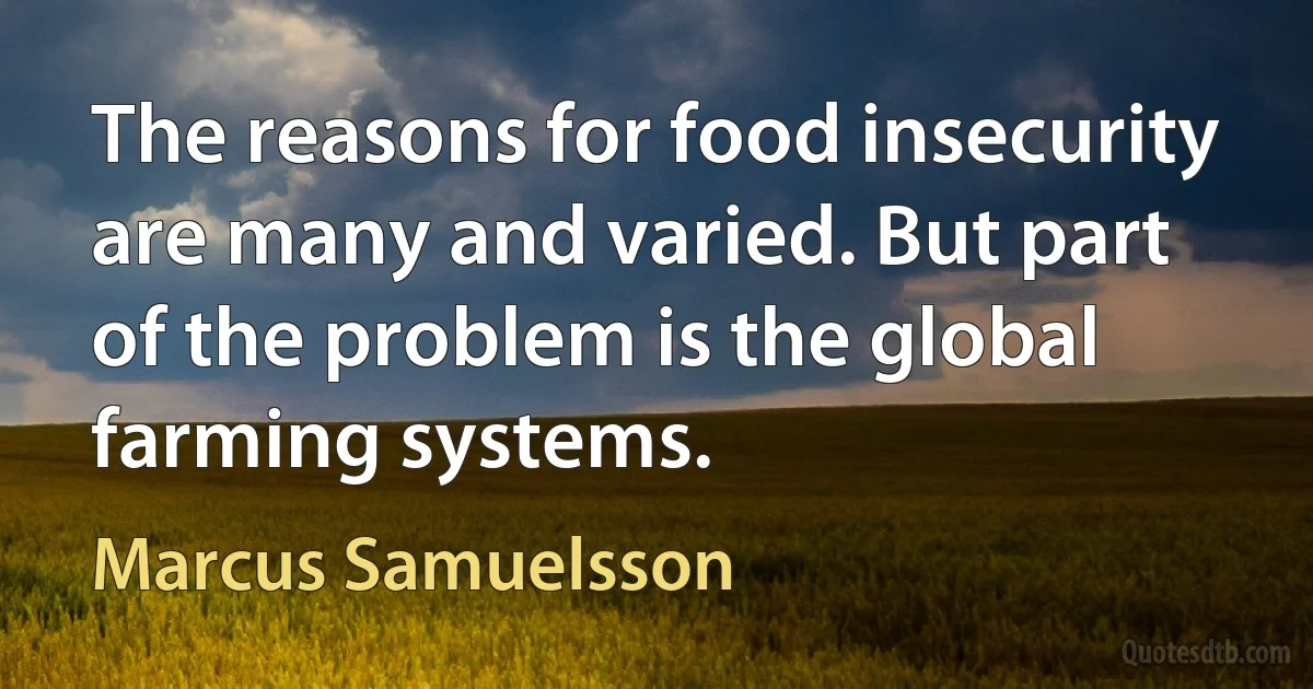 The reasons for food insecurity are many and varied. But part of the problem is the global farming systems. (Marcus Samuelsson)