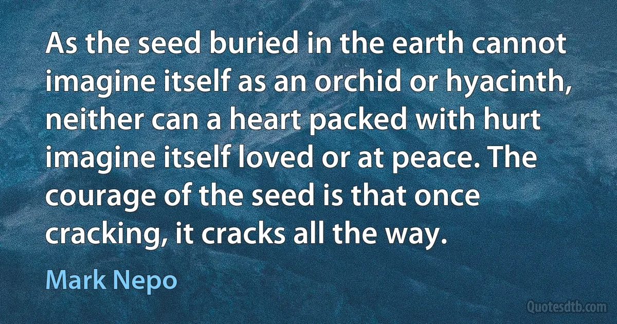 As the seed buried in the earth cannot imagine itself as an orchid or hyacinth, neither can a heart packed with hurt imagine itself loved or at peace. The courage of the seed is that once cracking, it cracks all the way. (Mark Nepo)