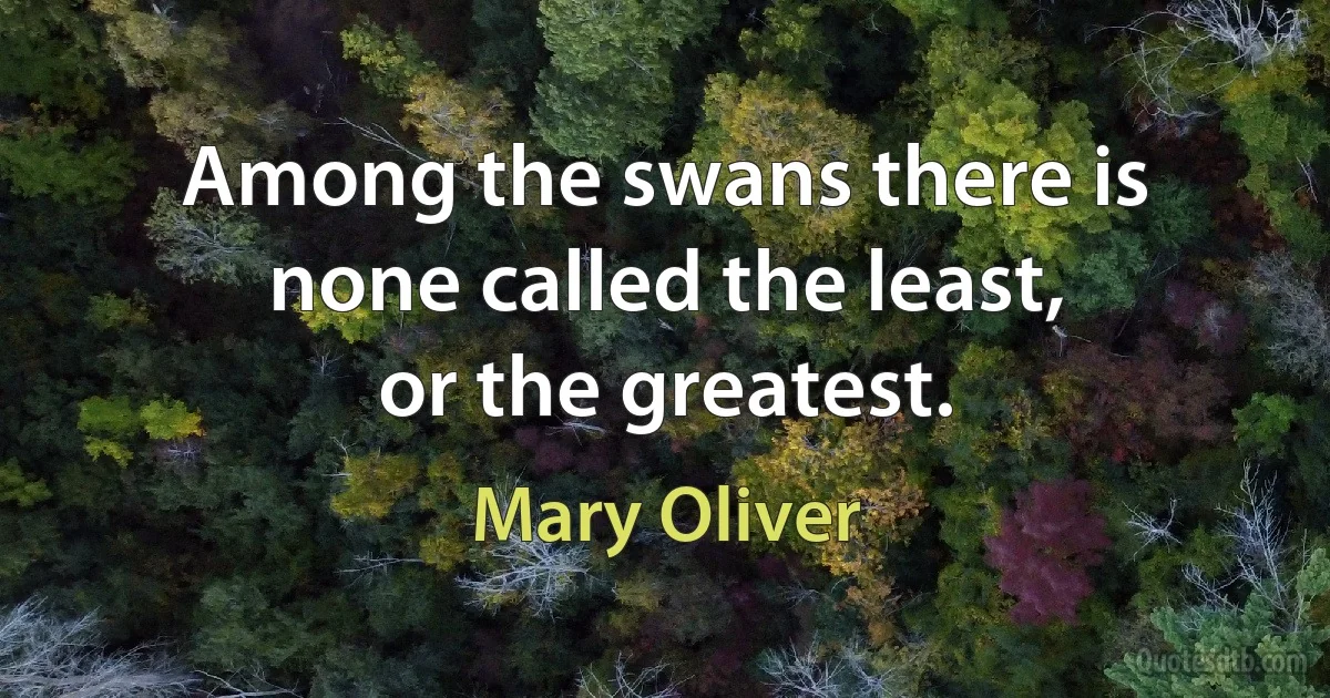 Among the swans there is none called the least,
or the greatest. (Mary Oliver)