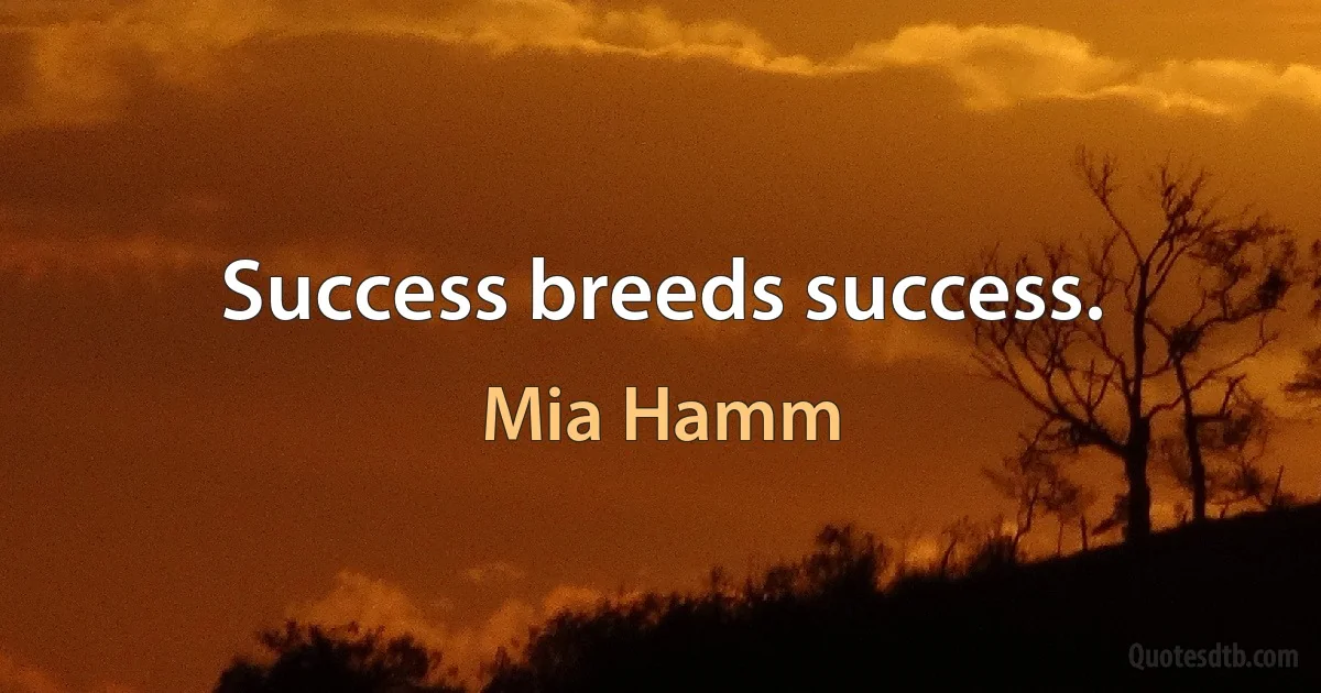 Success breeds success. (Mia Hamm)